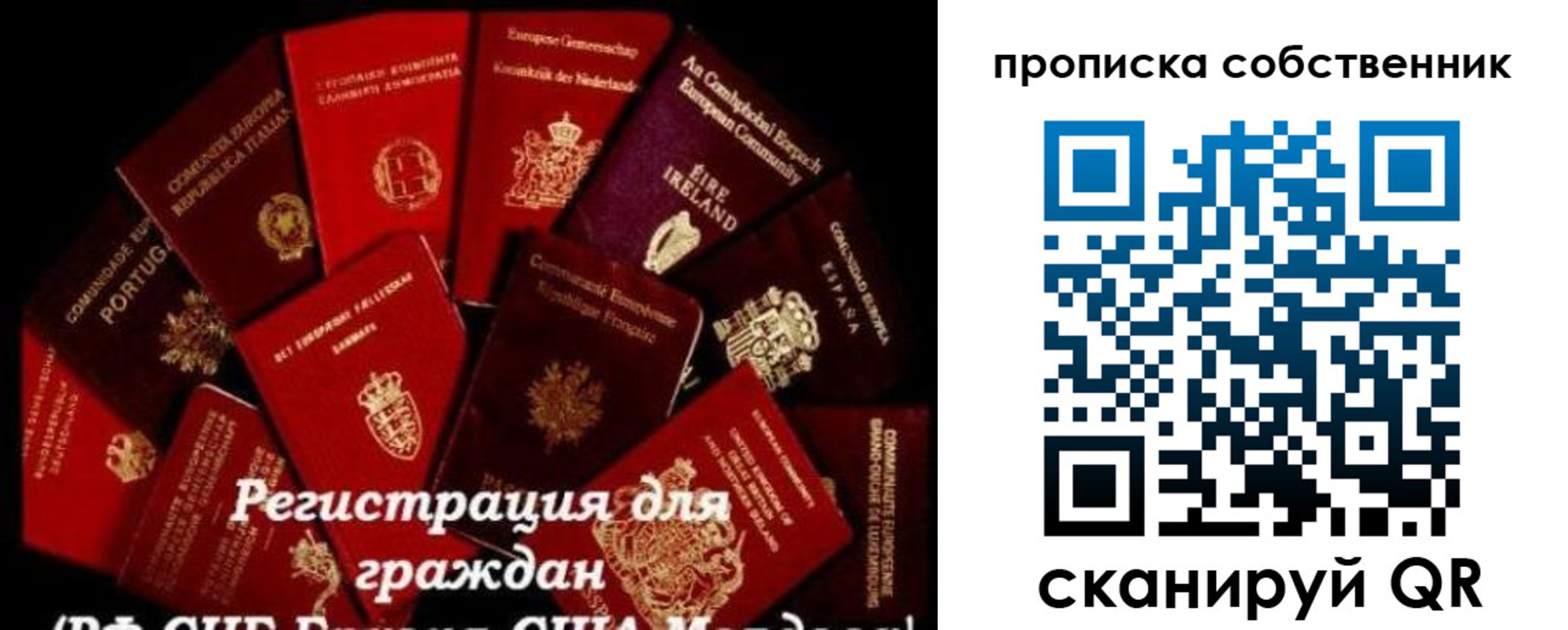 временная регистрация поиск в Кургане